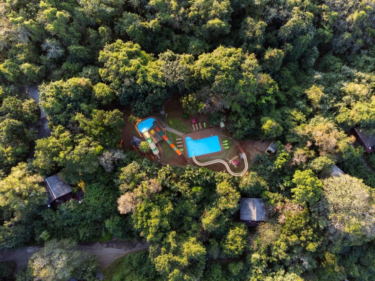 Mtunzini Forest Lodge Self Catering Resort Экстерьер фото